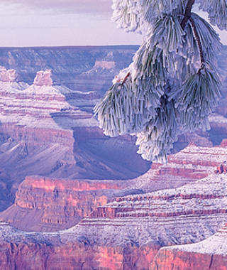gcsr_HEADER_WINTER2