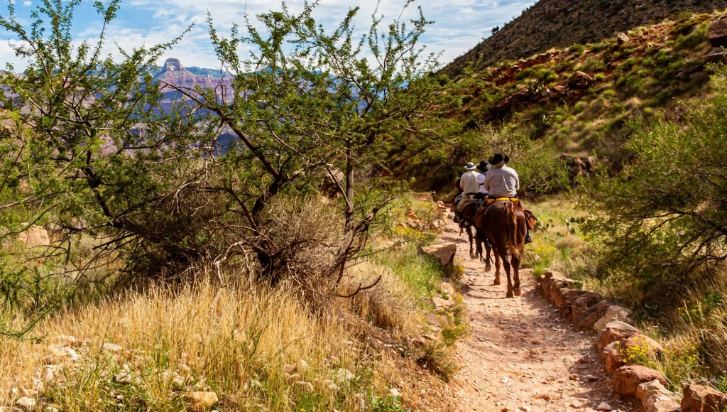 Havasupai