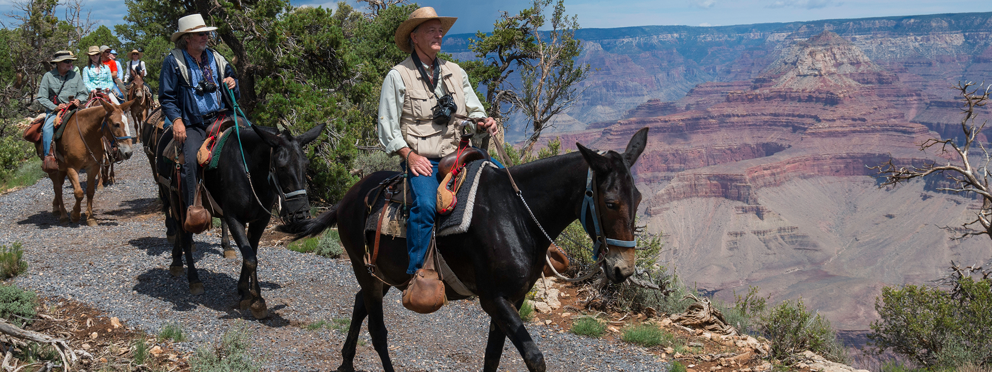 A man in a cowboy hat rides a black horse.