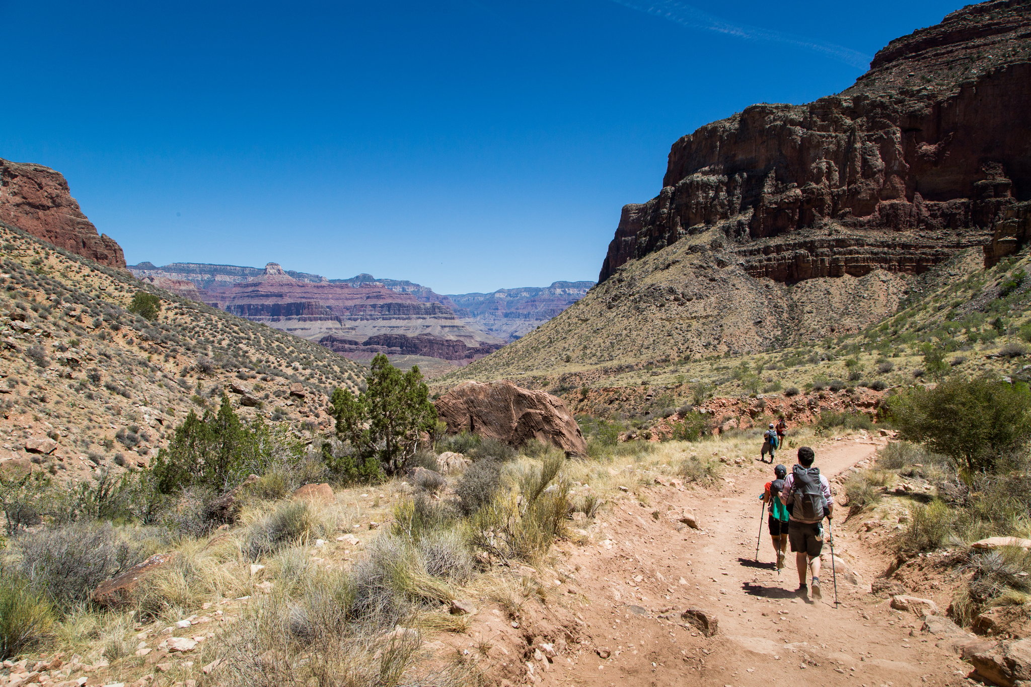 5 Reasons to Visit Grand Canyon in Summer