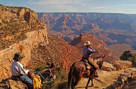 Plan Your Trip Grand Canyon National Park Lodges